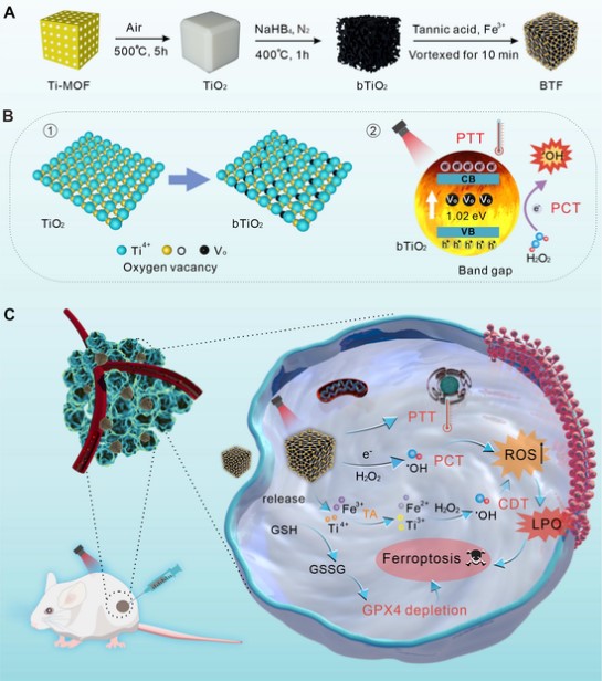 图示 描述已自动生成